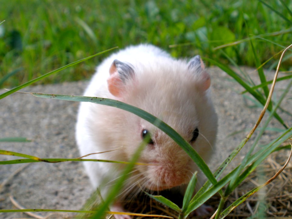 Little Man Outside