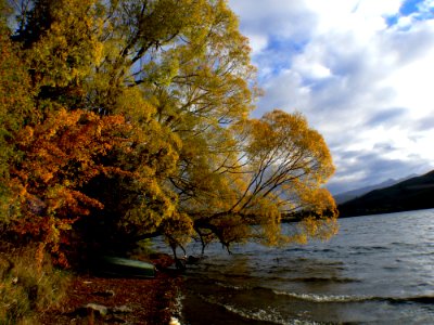 Lake Hayes Otago NZ (16)