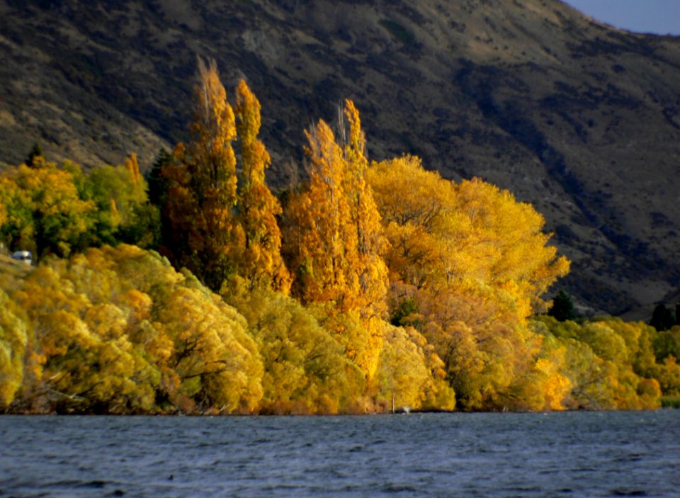 Lake Hayes Otago NZ (3)