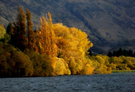 Lake Hayes Otago NZ (2)