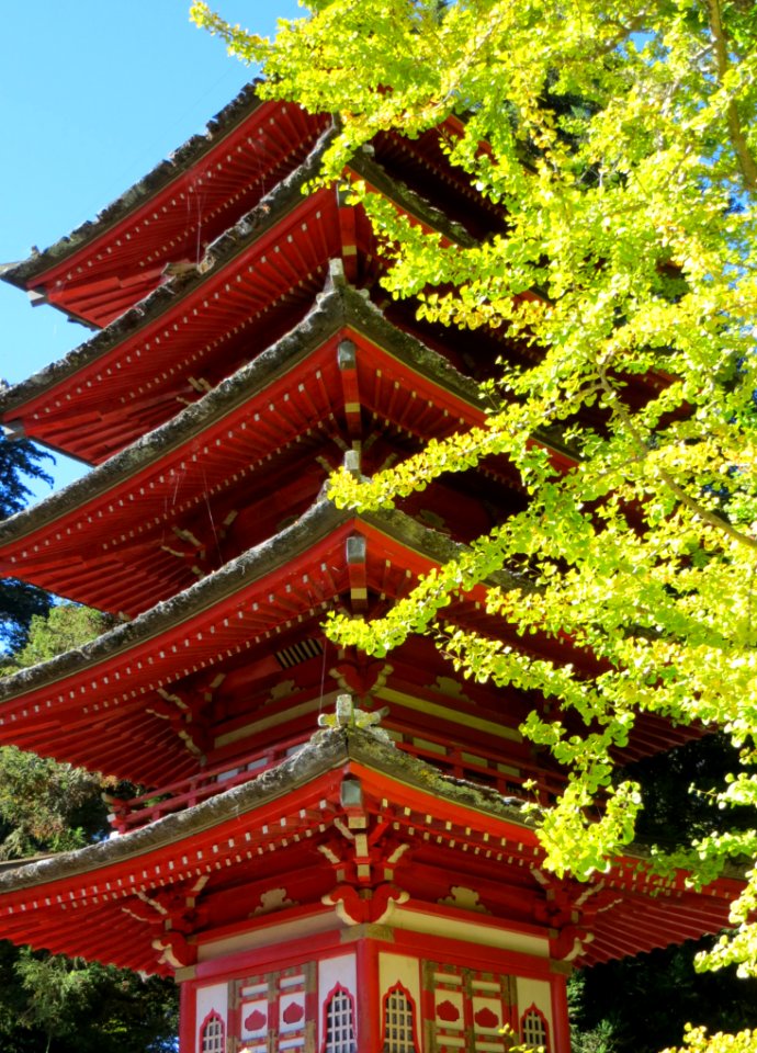 Temple In Japanese Tea Garden San Francisco