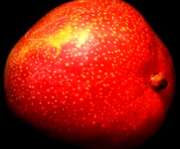 Nectarine Closeup