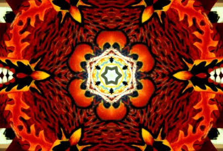 Kaleidoscope 41