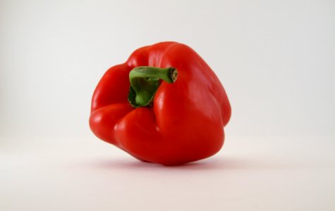 Red Pepper Isolated photo