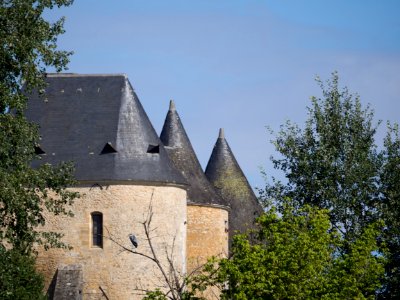 Canoeing On The Dordogne-france2015-em10-70-300mm-20150720-P7200158
