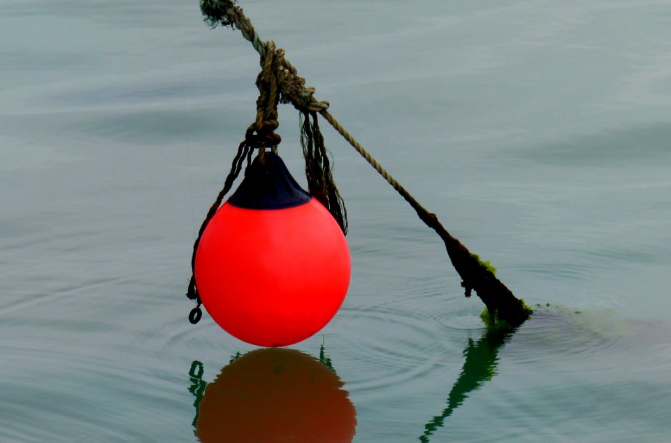 The Red Buoy photo