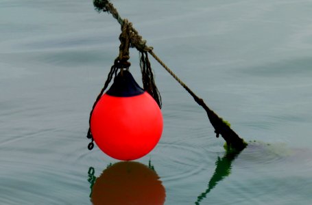The Red Buoy