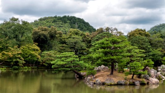 Japanese Gardens