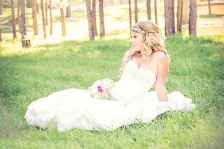 Bride Sitting In Sunny Field photo