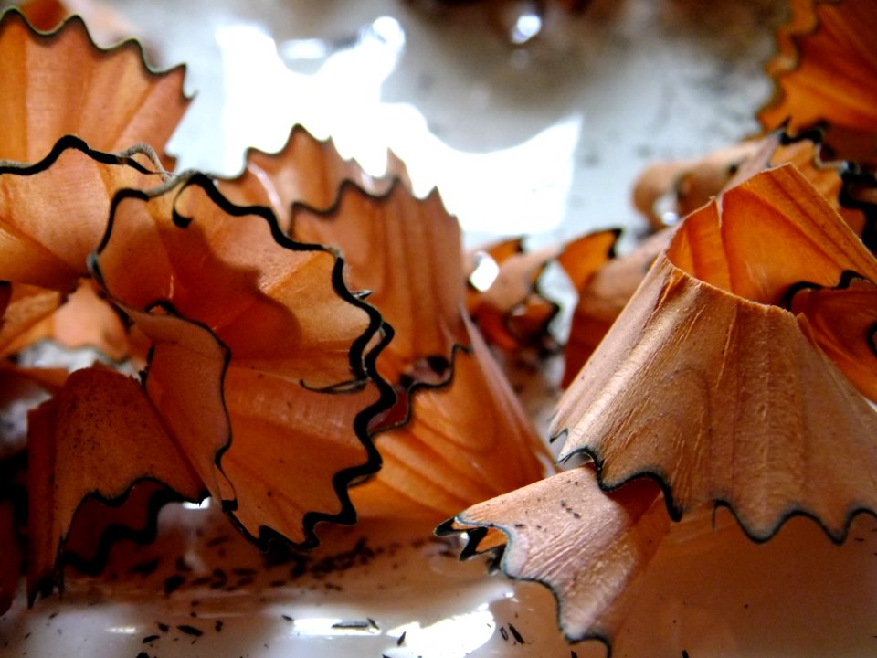 Wooden Pencil Sharpener Shavings
