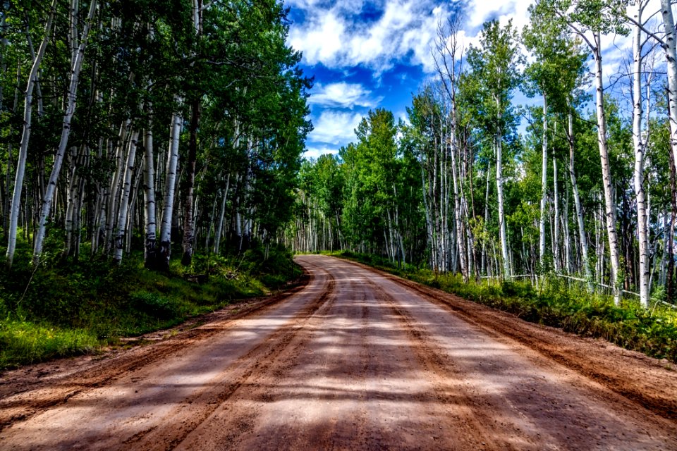 Road Receding Through Countryside