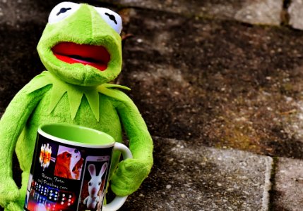 Hermit The Frog Holding Black And White Ceramic Mug photo