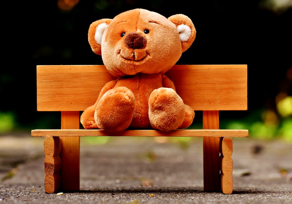 Cute Teddy Bear Sat On A Bench
