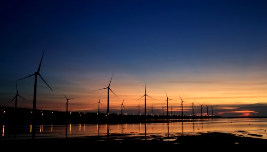 Windills On Shore