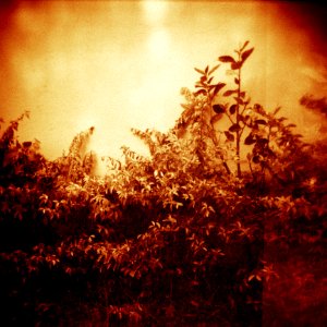 Holga Experience 2013