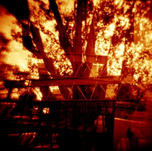 Holga Experience 2013