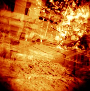 Holga Experience 2013