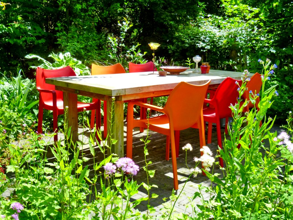 Plant Property Plant Community Flower