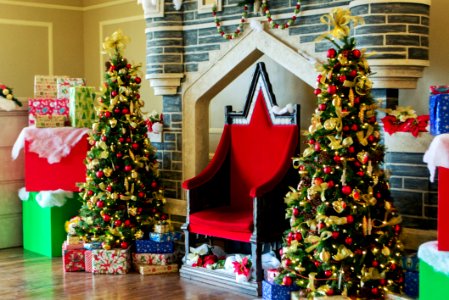 Christmas Tree Christmas Ornament Property Green