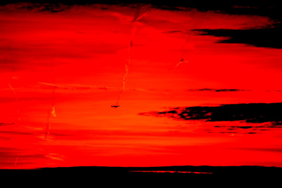 NY Sky