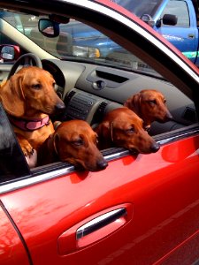 4 Of A Kind
