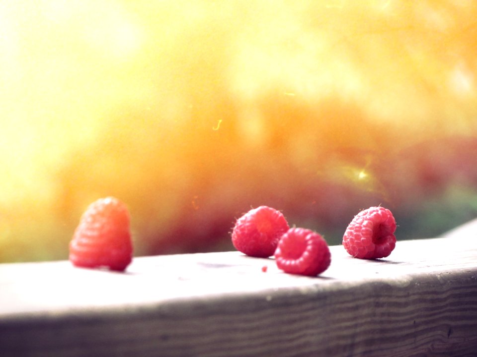 Four Red Raspberries