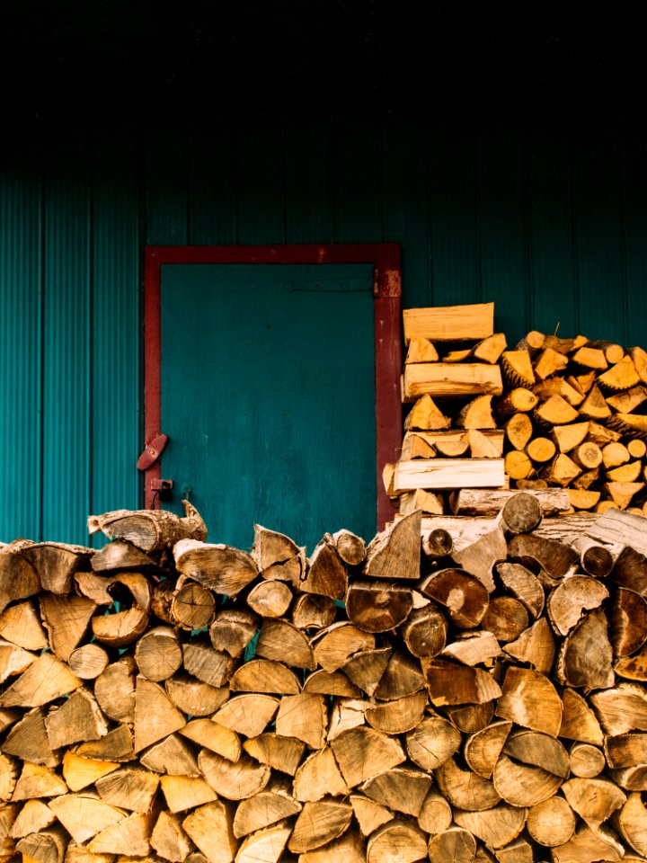 Wood Logging Natural Landscape Trunk