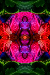 Computer-generated Designs (10)