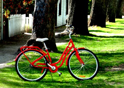 The Red Bicycle photo