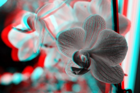 3D CMS CC-BY