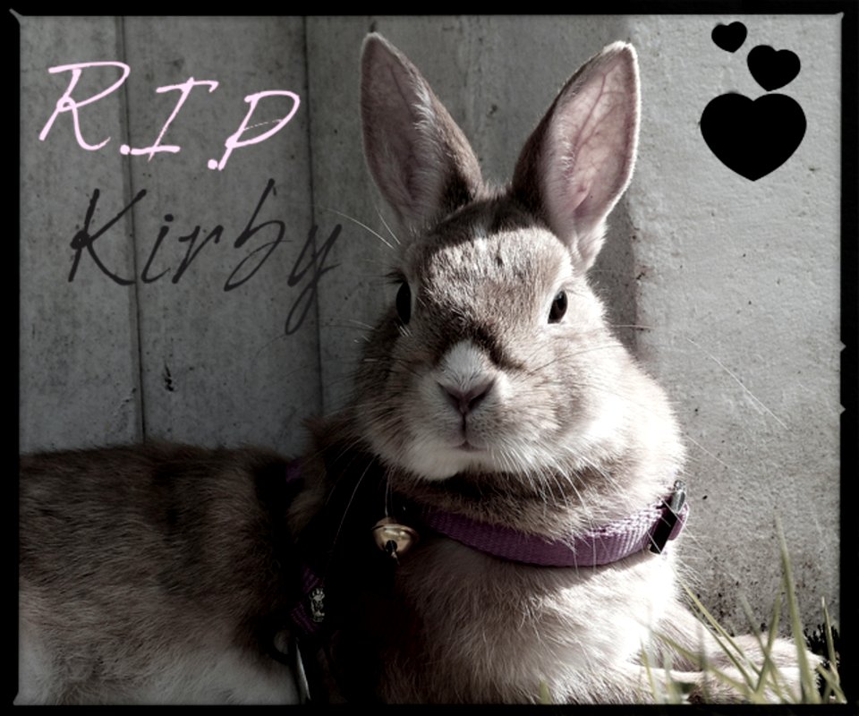 Rest In Peace Kirby