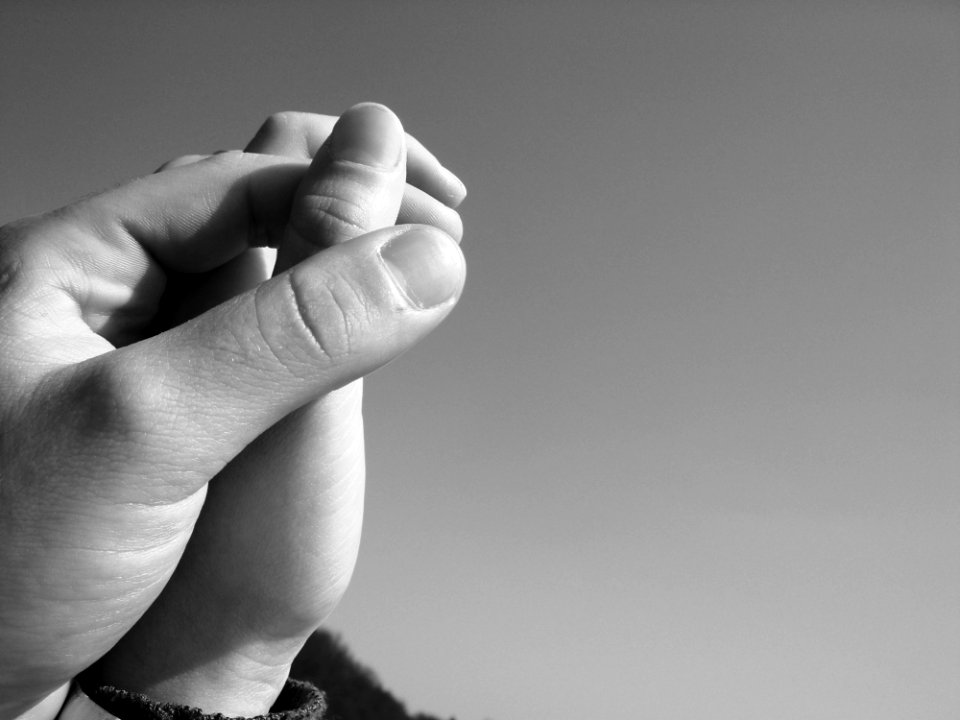 Grayscale Photography Of Human Hand Holding Hands photo