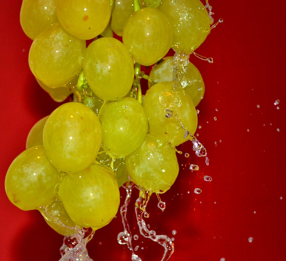 Grape Cluster Under Pouring Water