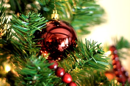 Ornamentclose