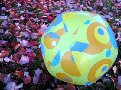 Beach Ball In Autumn Red Leaves