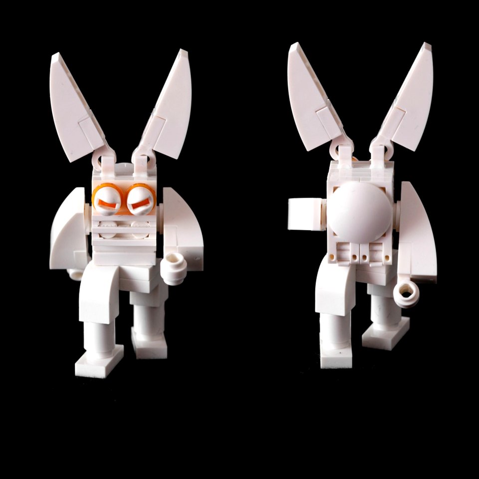 Follow The White Rabbit