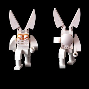 Follow The White Rabbit