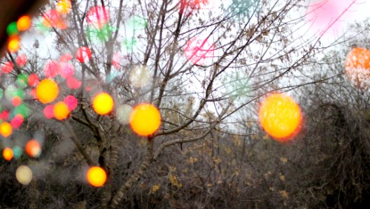 Christmas Lights Out Of Focus