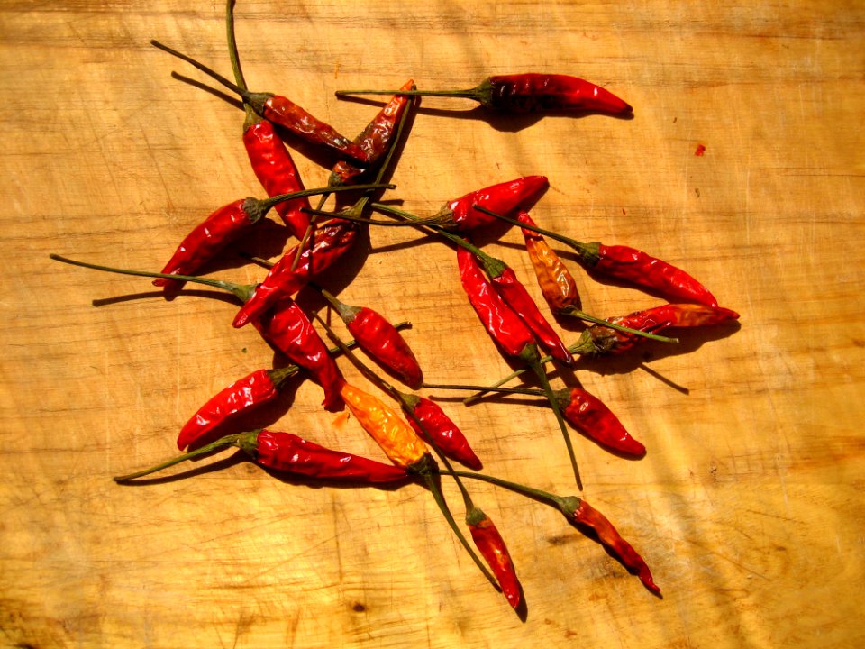 Heap Of Dried Chili Peppers photo