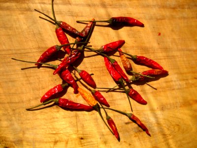 Heap Of Dried Chili Peppers photo