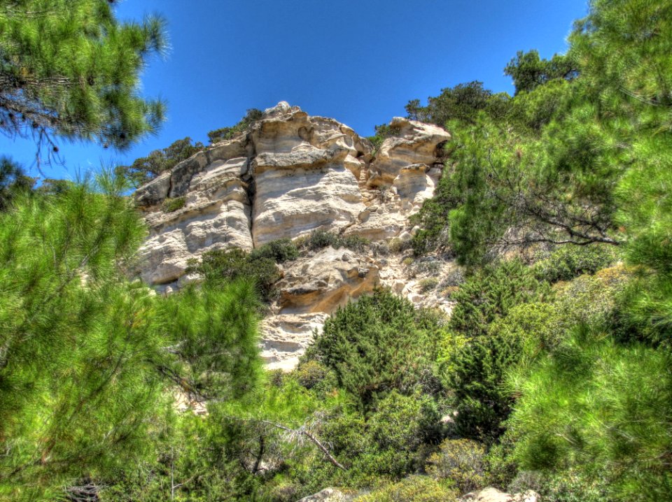 Sky Plant Mountain Natural Landscape