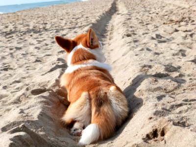 Just Another Beach Day With Sun