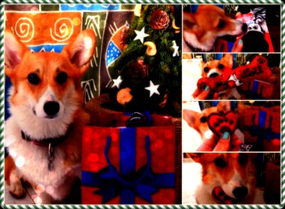 Suns Xmas Presents
