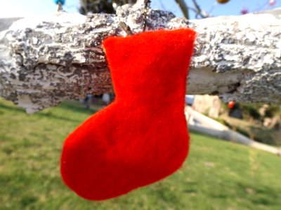 Botita Roja