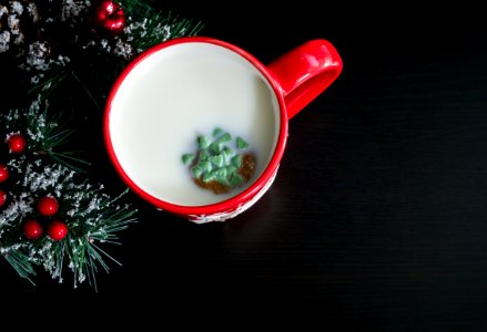 Christmas Cookie In Milk photo