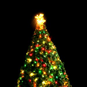 Xmas Tree