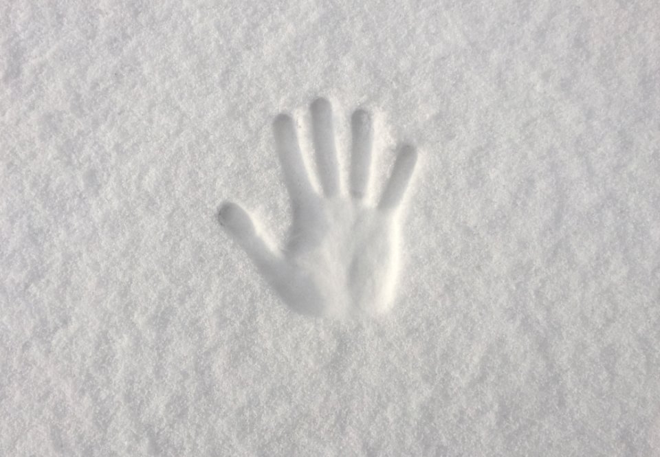 Hand Impression In Fresh Snow