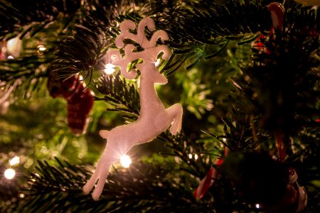 Reindeer Ornament Hanging On Christmas Tree