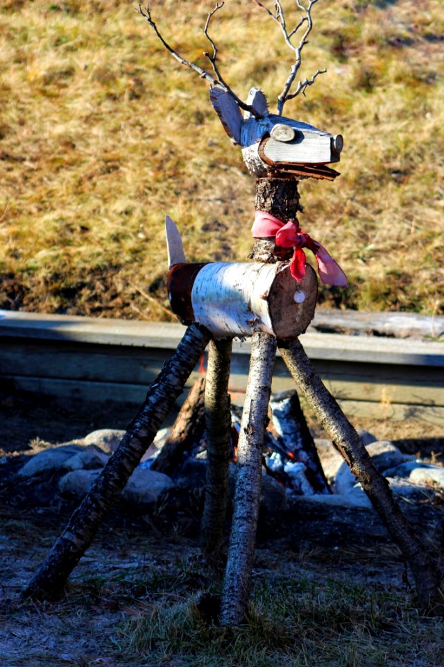 Wooden Deer