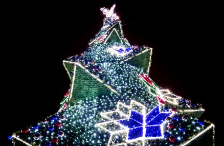 Krakow Main Market Christmas Tree Poland